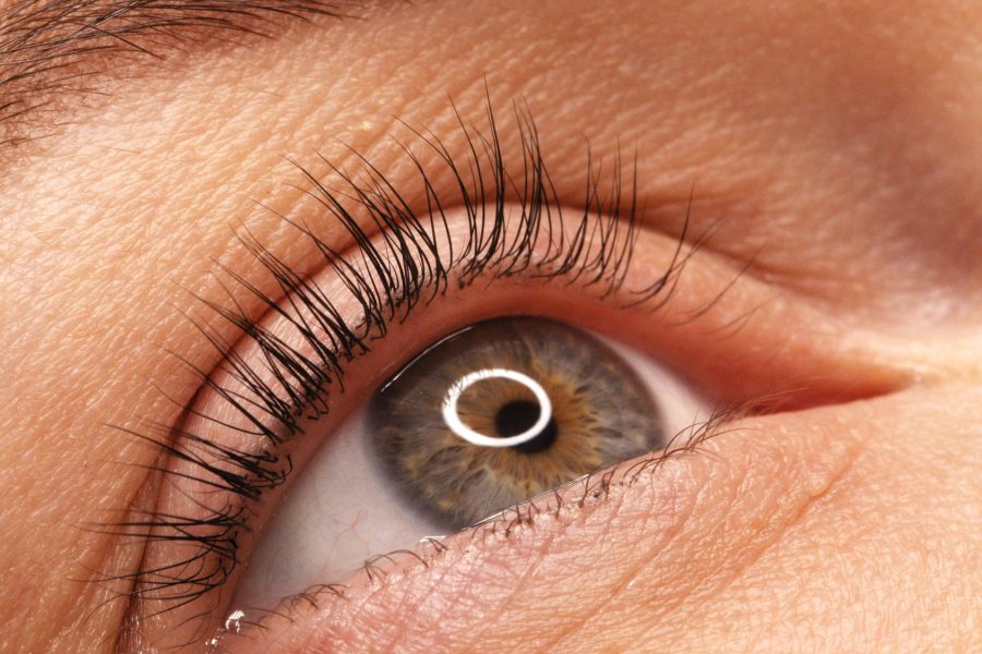 A woman's eye with long black eyelashes after lamination. Closeup opened girl's eye with eyelashes